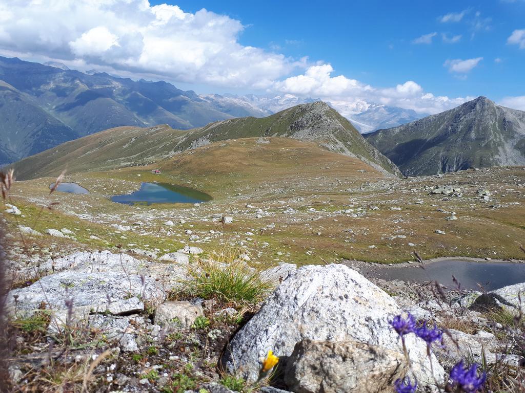 Alpensonne Διαμέρισμα Reckingen Εξωτερικό φωτογραφία
